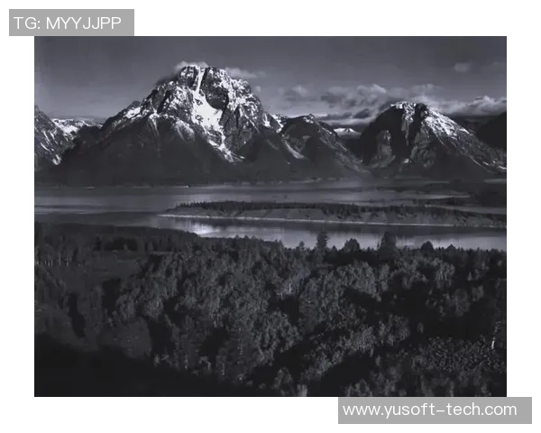 亚当斯的传奇人生与影响力探索：从历史人物到现代文化象征的演变之路