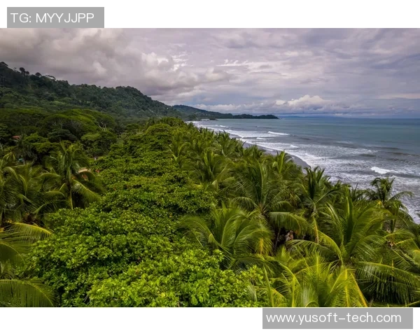 哥斯达黎加双色木蝎的独特魅力与生态价值探讨