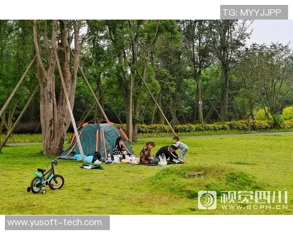 成都极限运动队的阵地战分析与反思：得失背后的故事与启示MBA